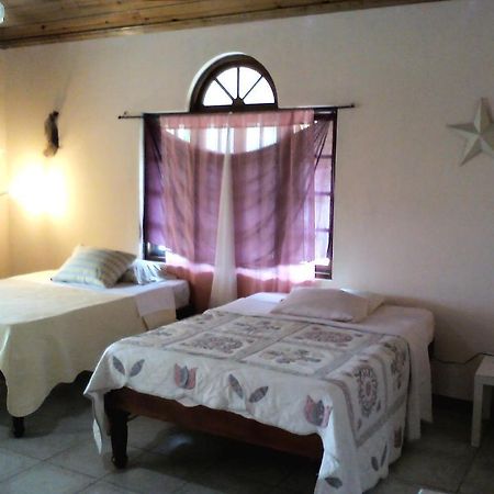 Dolphin Bay Yoga Guest House Drapers ภายนอก รูปภาพ