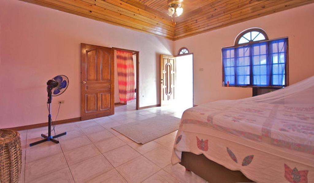 Dolphin Bay Yoga Guest House Drapers ห้อง รูปภาพ