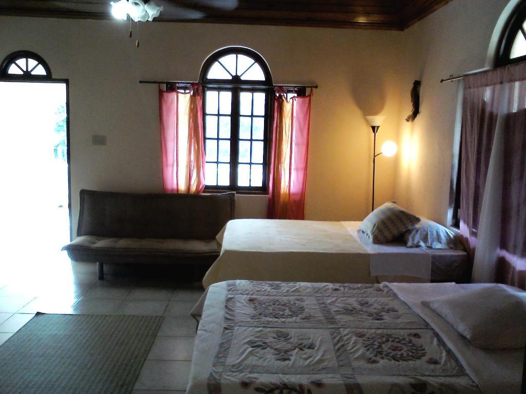 Dolphin Bay Yoga Guest House Drapers ห้อง รูปภาพ