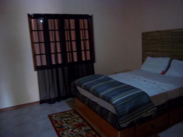 Dolphin Bay Yoga Guest House Drapers ภายนอก รูปภาพ