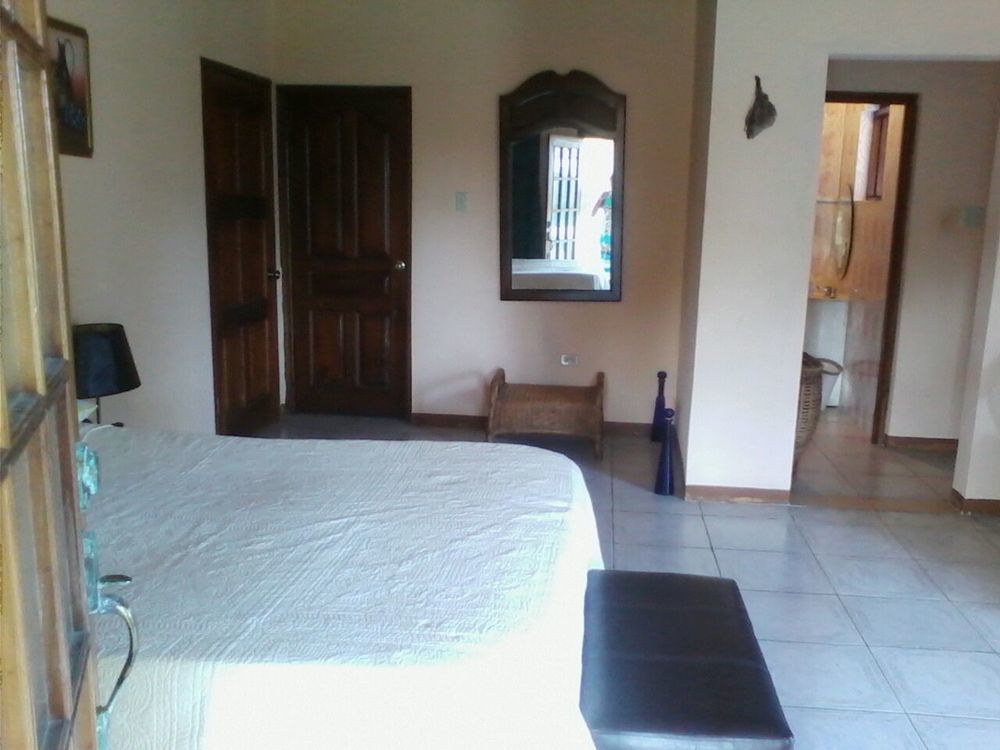 Dolphin Bay Yoga Guest House Drapers ภายนอก รูปภาพ